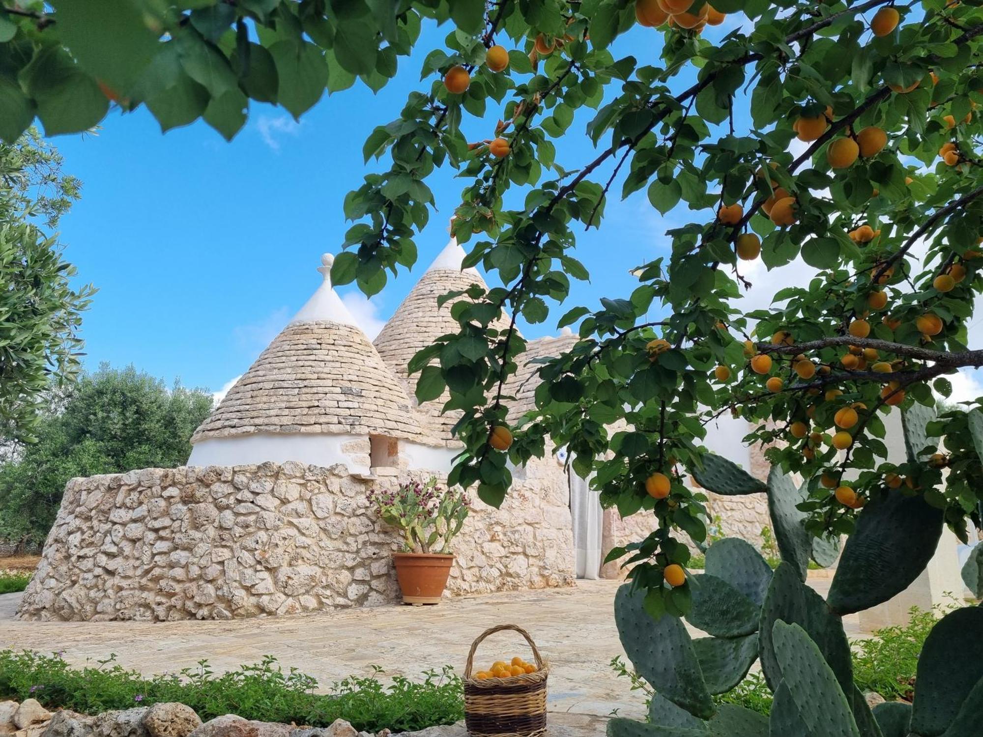 Bed and Breakfast Trulli Di Spinaruta Гротталье Экстерьер фото